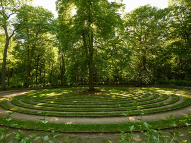 Pflanzliches Labyrinth in der Eilenriede